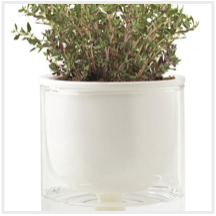 selfwateringplanter